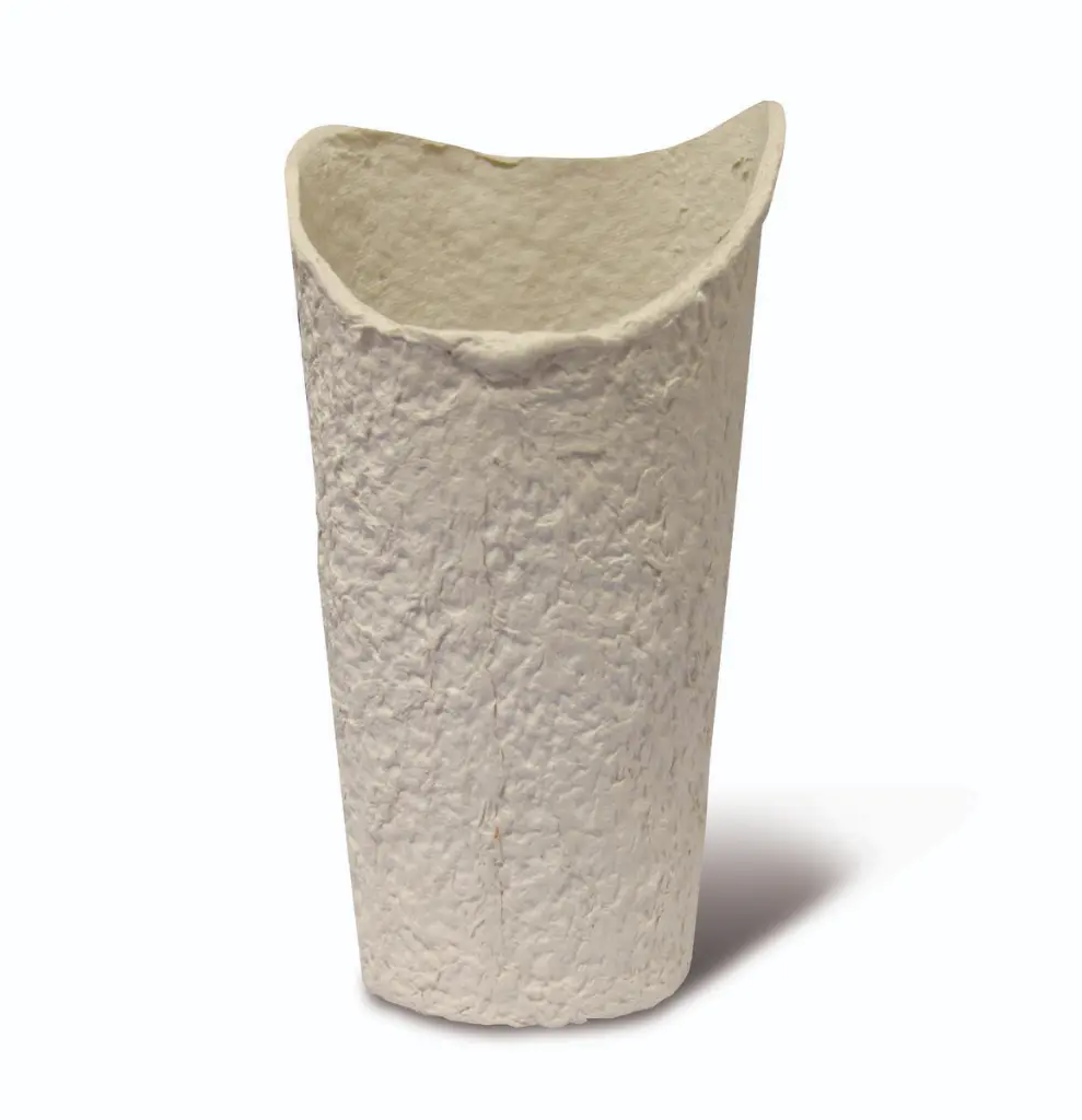 Disposable Ear Noot Pulp (Pack of 100)