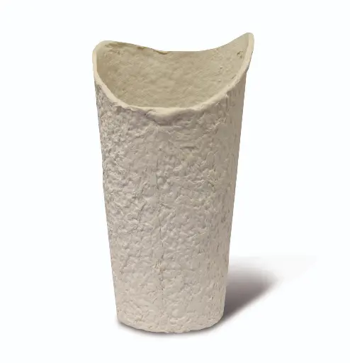 [EAR-P01] Disposable Ear Noot Pulp (Pack of 100)